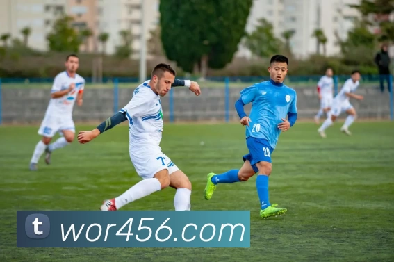 多媒体互动体验